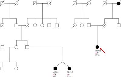 Course of pregnancy and 10-year observation of twins diagnosed with GCK-MODY in the neonatal period: a case report